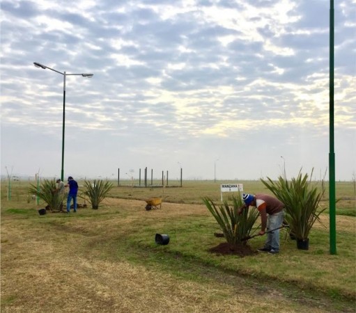 LA TOSCANA, 300 m2, piñero, ideal inversion o fin de semana!