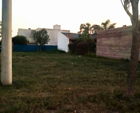 Pueblo Esther, 320 m2, sobre calle San Martin, esquina Alem