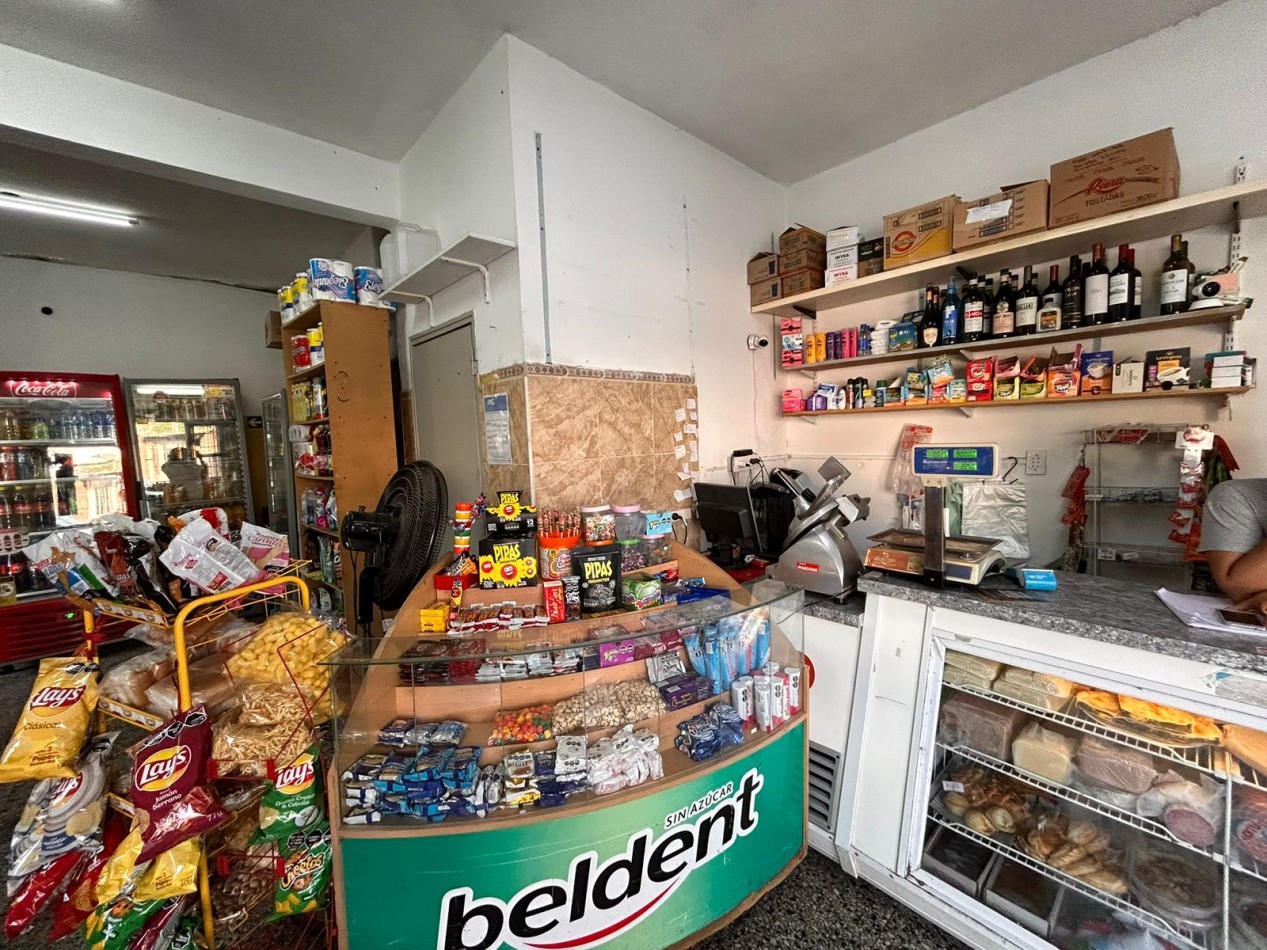 Liniers 1200, dos casas y un local en venta, en conjunto.