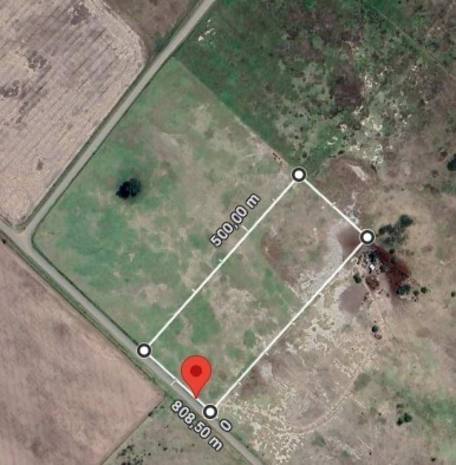 Fighiera, campo de 3,3 hectareas, oportunidad