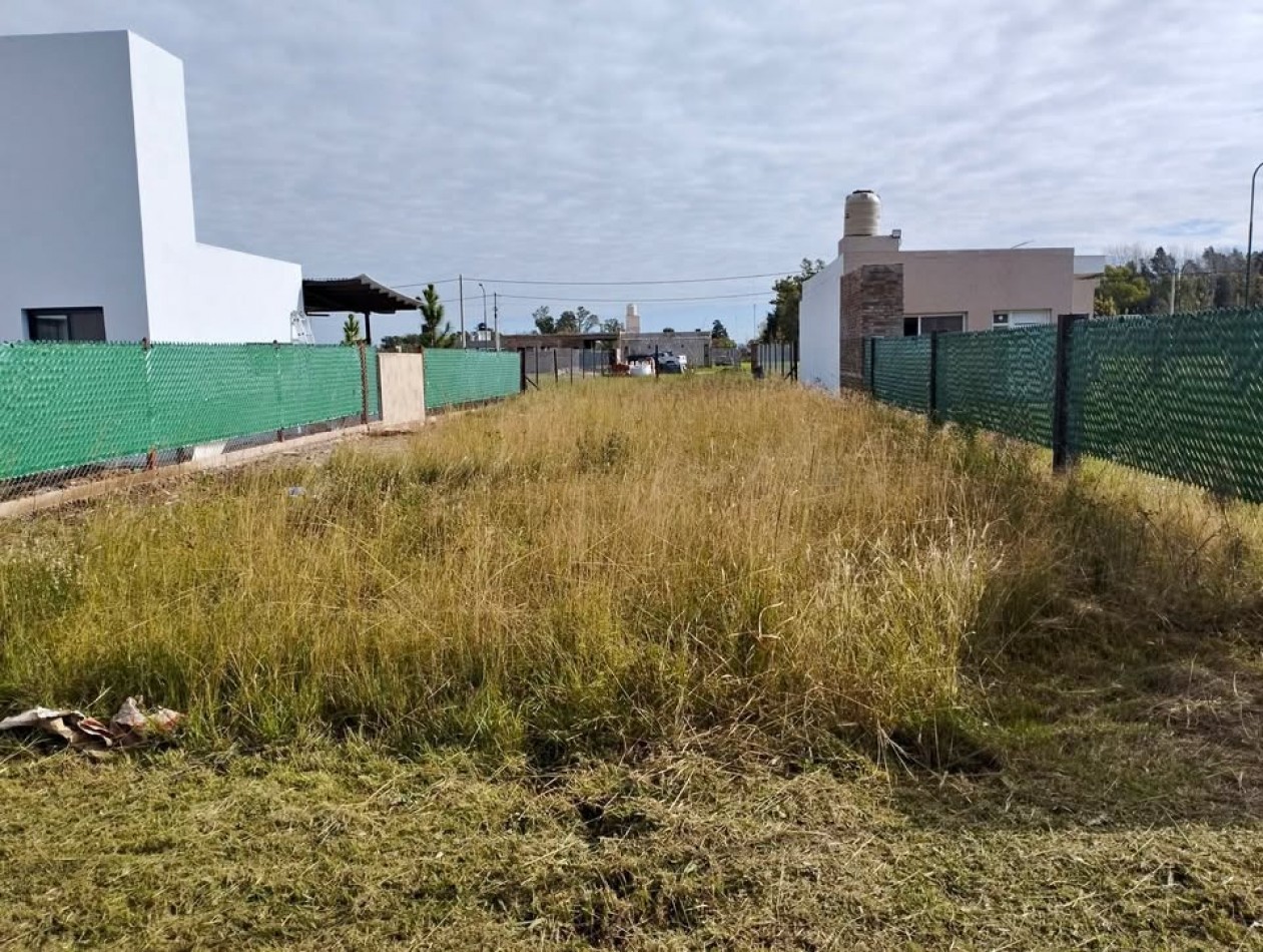 Los Pinos 3, Terreno a la venta de 330 m2, excelente zona