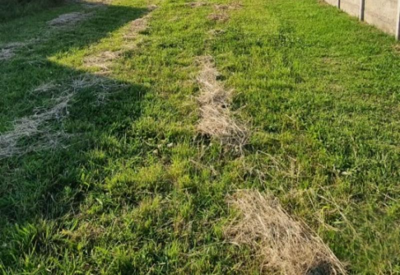 Arroyo Seco, dos terrenos amplios, barrio Posta del Arroyo