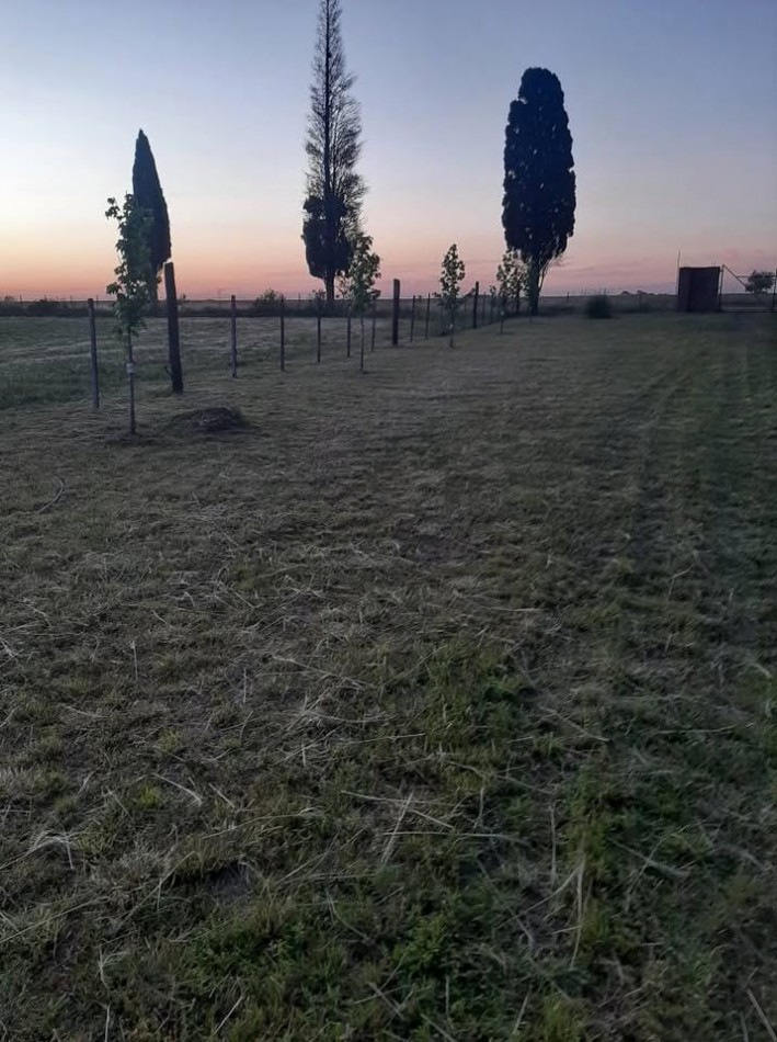 Villa Constitucion, campo de dos hectareas con propiedad de un dormitorio y pileta, oportunidad.