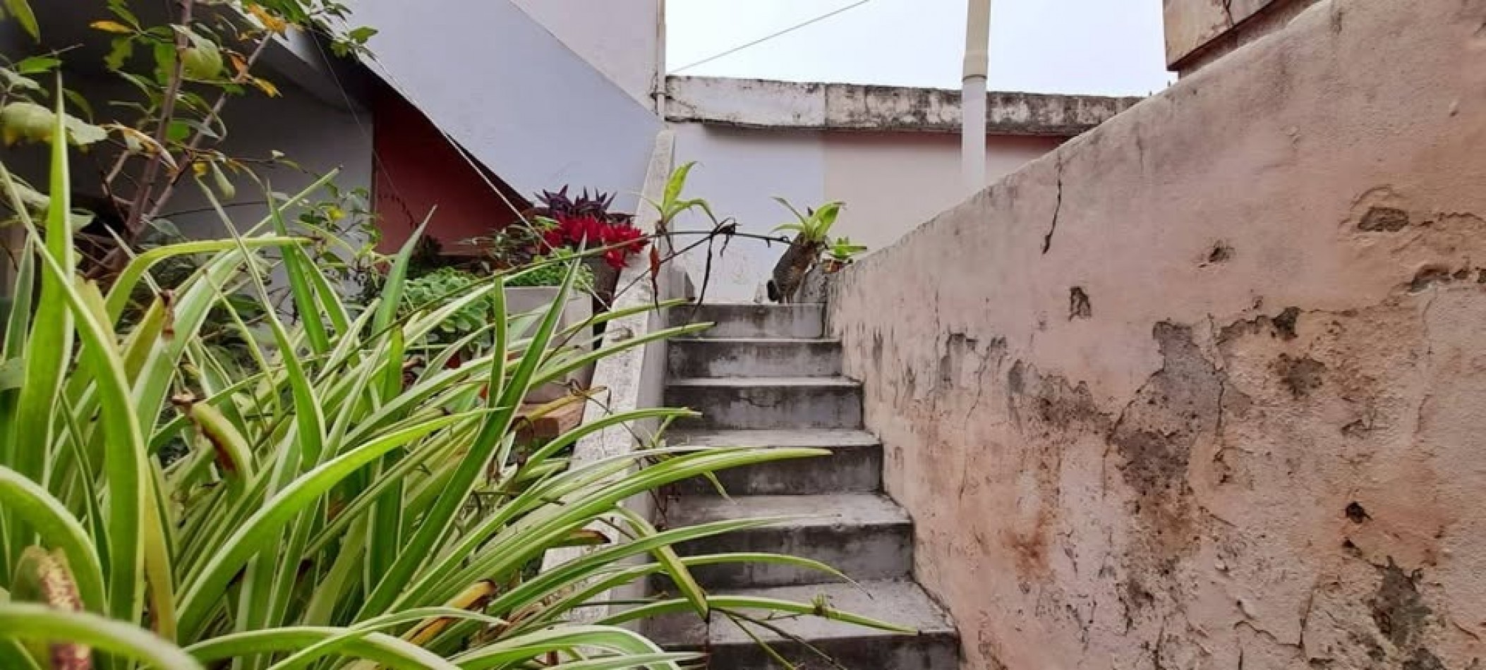 Centenario 700, propiedad de dos dormitorios, con patio y terraza