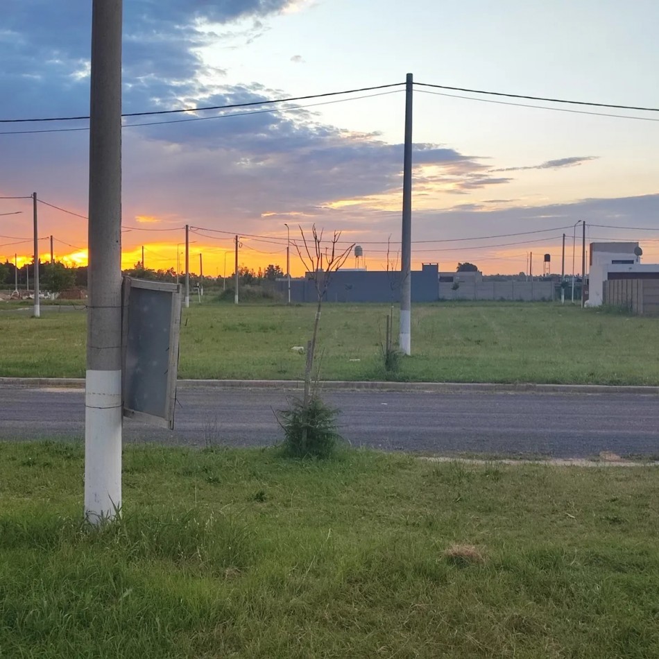 Pueblo Esther, Barrio Jardines de Esther, dos terrenos a la venta 300 m2.