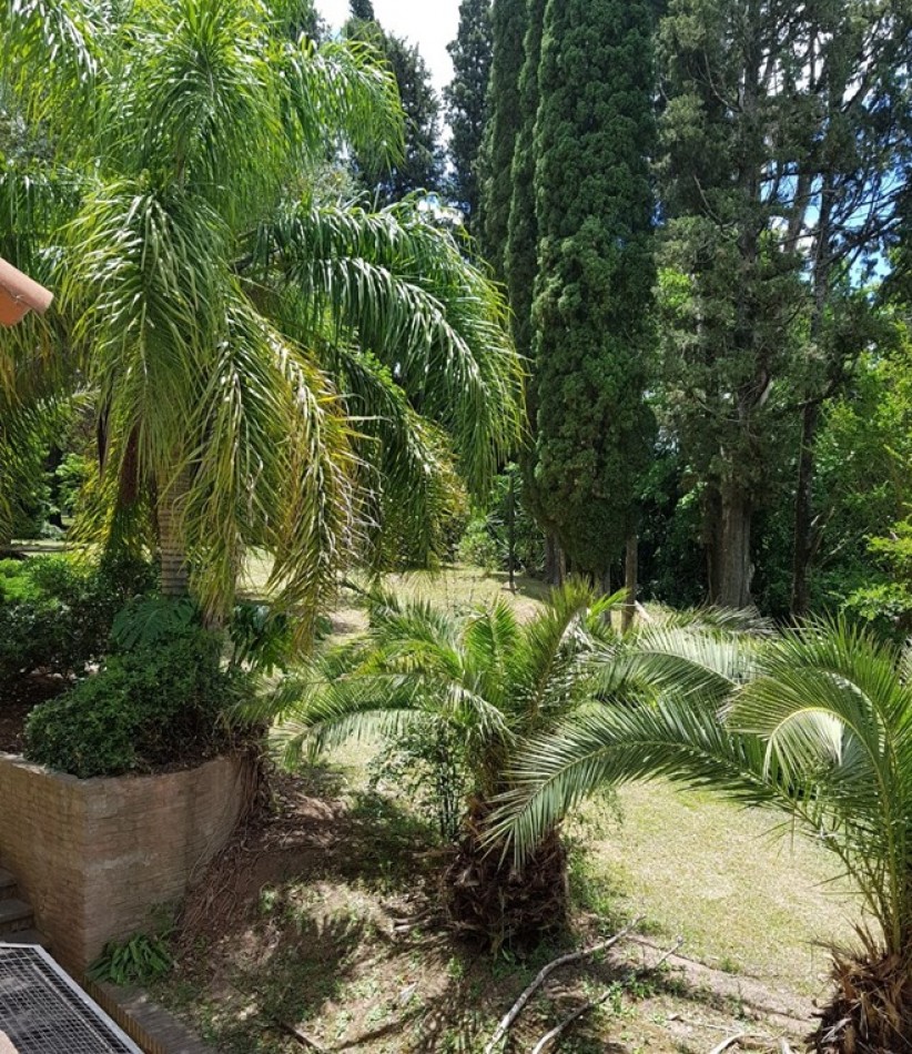 Oliveros, sobre calle Corrientes, Exclusiva propiedad sobre el rio Carcaraña. 13.125m2