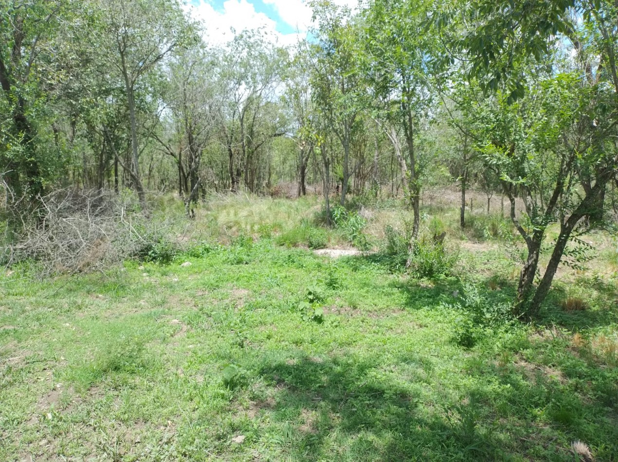 Huerta Grande Cordoba, amplio lote, posibilidad division. (Cerca de La Falda)
