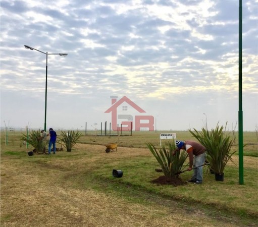 LA TOSCANA, 300 m2, piñero, ideal inversion o fin de semana!