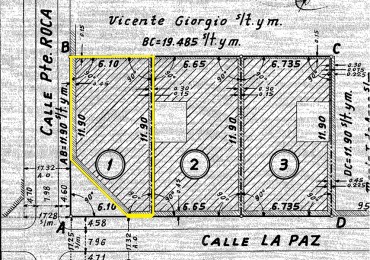 Roca 2200, Esquina La Paz Lote 66 m2, ideal constructoras!