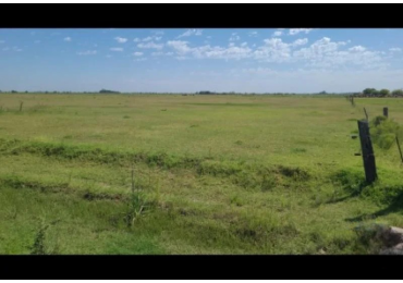 Fighiera, campo de 3,3 hectareas, oportunidad