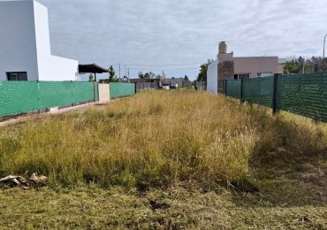 Los Pinos 3, Terreno a la venta de 330 m2, excelente zona