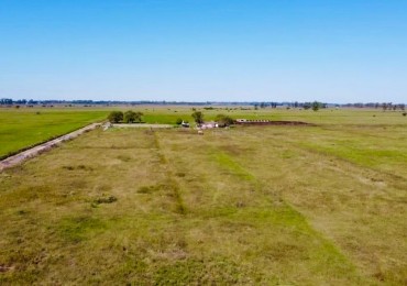 CAMPO EN VENTA,  (aproximadamente 27,30 hectareas) PIÑERO, SANTA FE